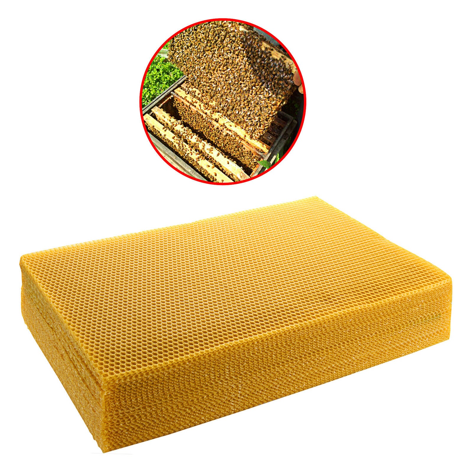 10pcs Pure Natural Beeswax Candlemaking Bee Wax Candle Crafts