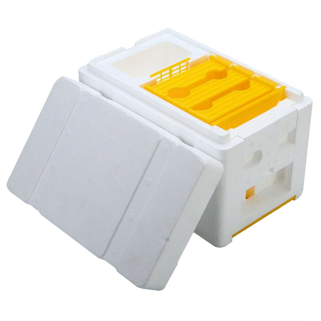 Bee Tail Box Bee Pollination Box Beehive King Box for Beekeeper Starter