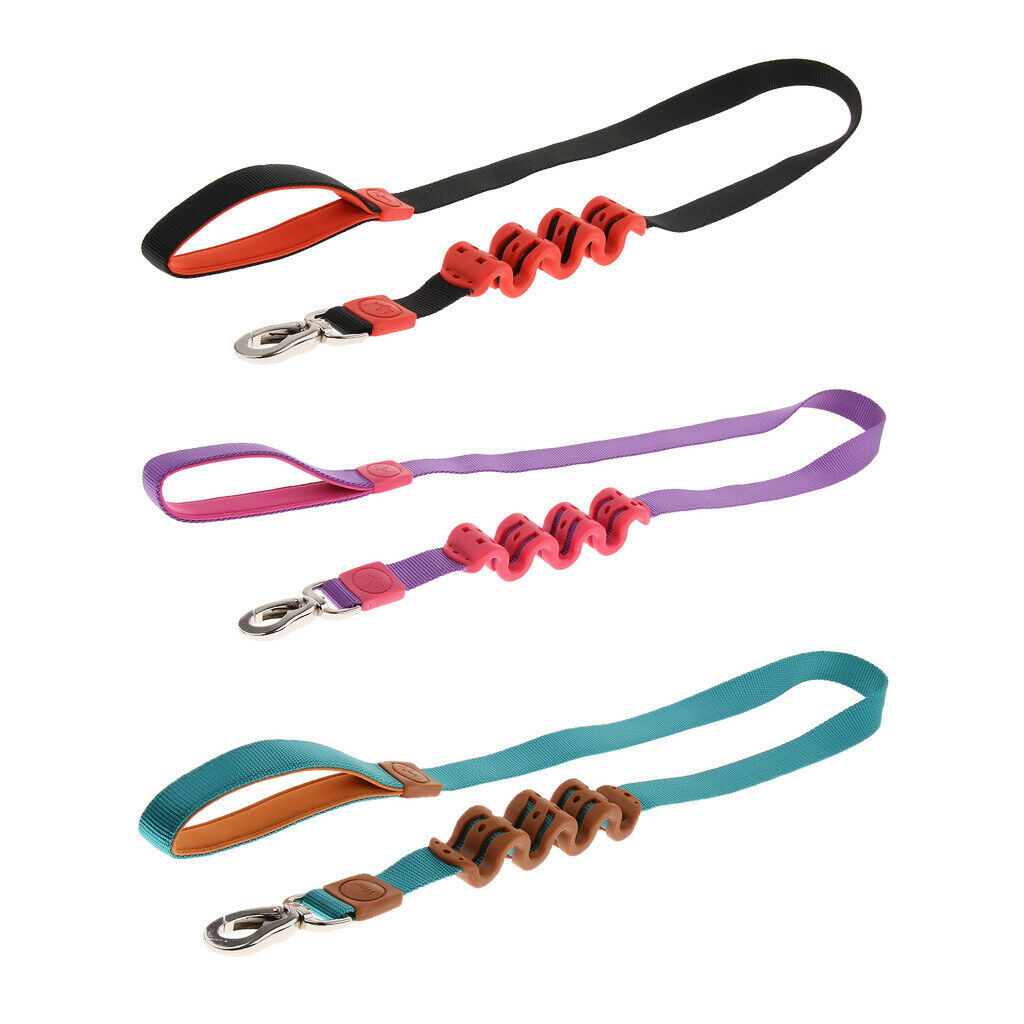 Pet Dog Walking Training Belt Bungee Leash Anti-Shock Stretch Rope Black