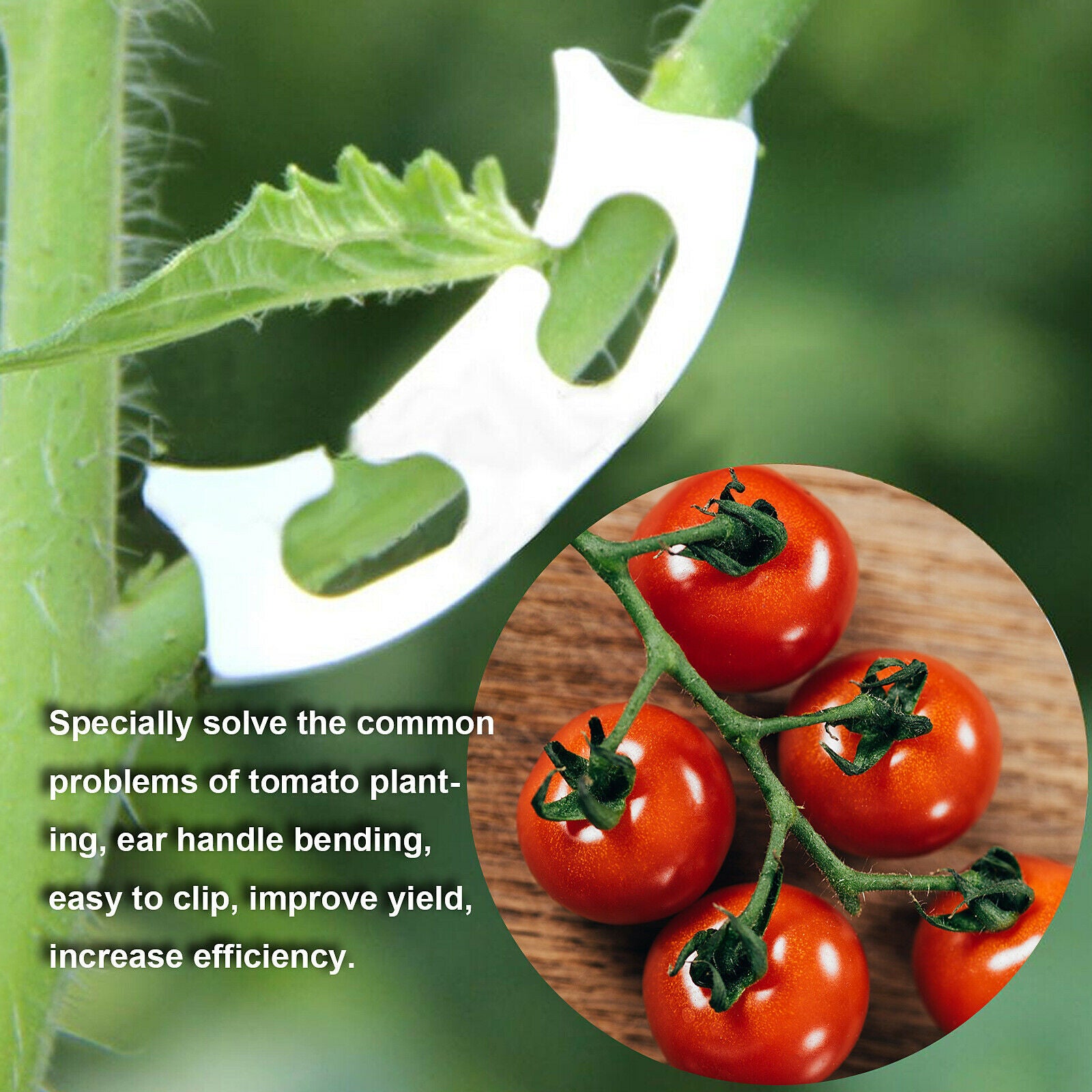 Tomato Vegetable Support J-hook Clips Anti Bending Stems Vegetables Pack Of 100