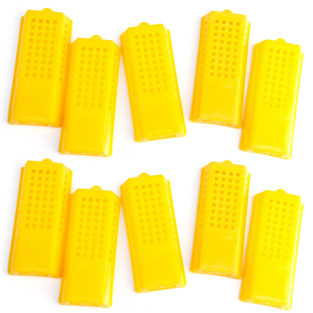 10 Queen Bee Butler Cages with Beekeeping Tools
