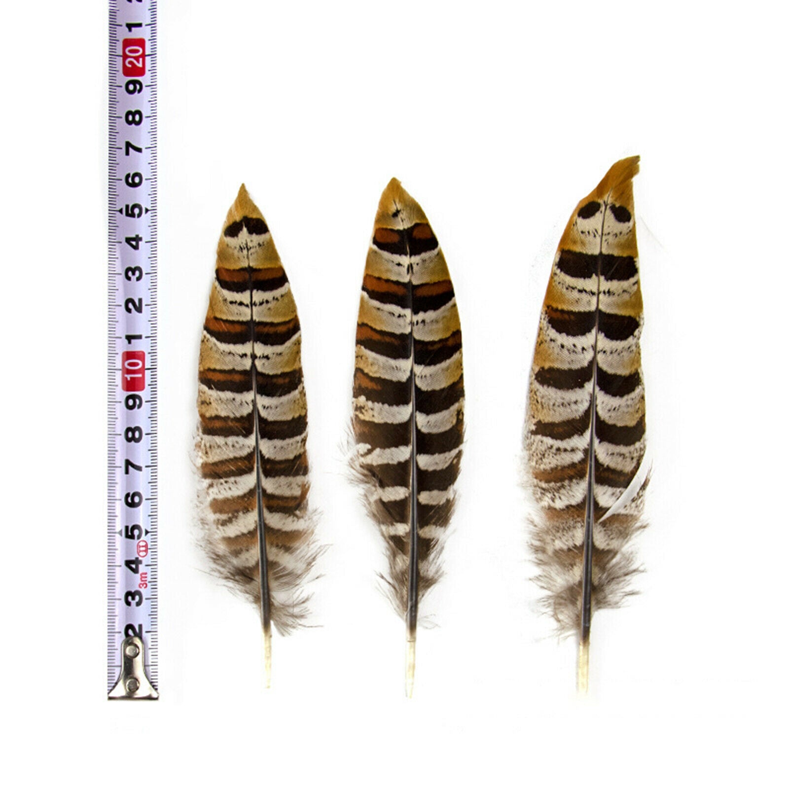 Natural Pheasant Feather Home Background Dream Catcher Earrings DIY 6-11cm