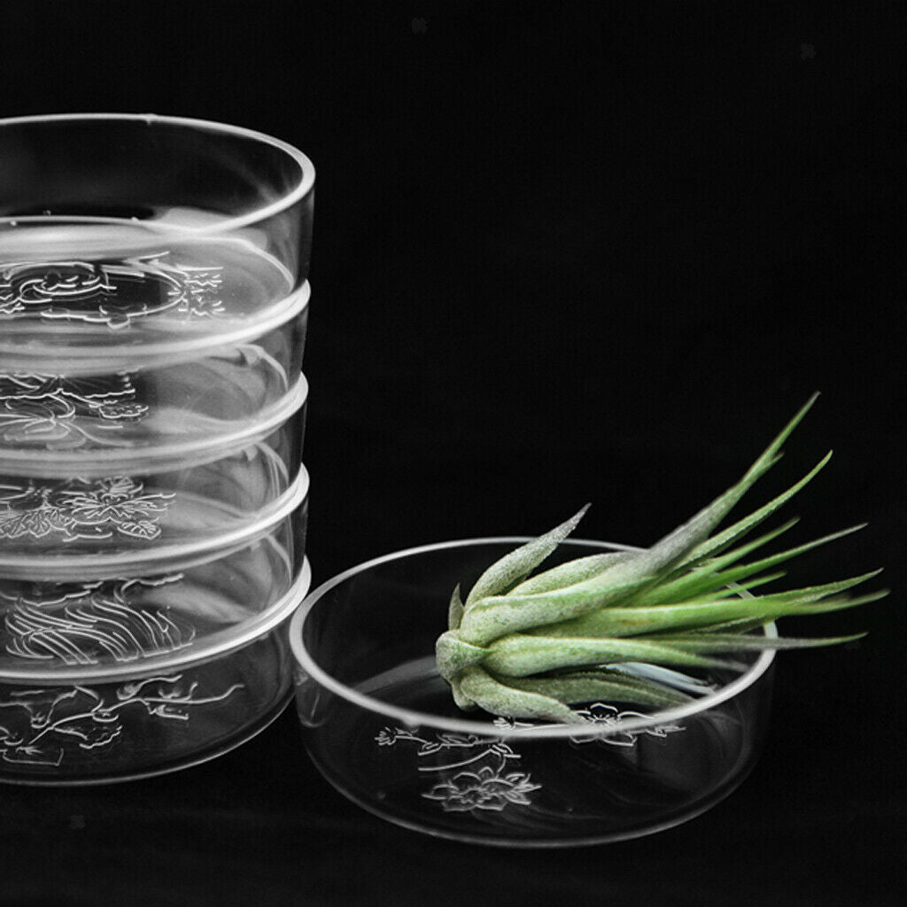 Shrimp Feeding Dish for Fish Tank Acrylic Shrimp Food Aquarium - Pattern Winter