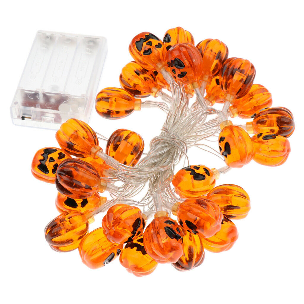 Battery Small Cushaw String Lights LED Fairy Light Decoration 3meter 30LED