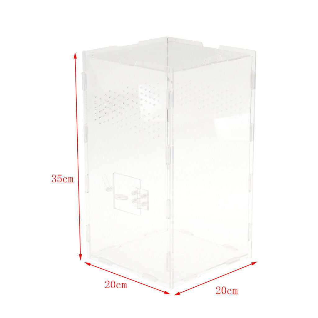 Acrylic Reptile & Amphibian Terrarium Tank For Lizard Turtle Spider