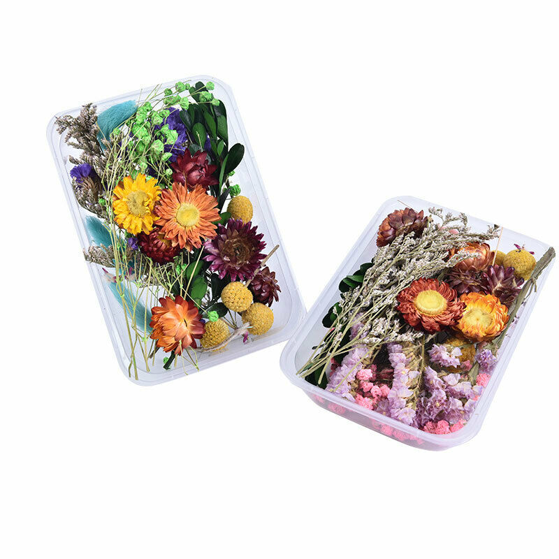 1 Box Dried Flower Real Dry Plants For Aromatherapy Candle Craft DIY Accessor Rf