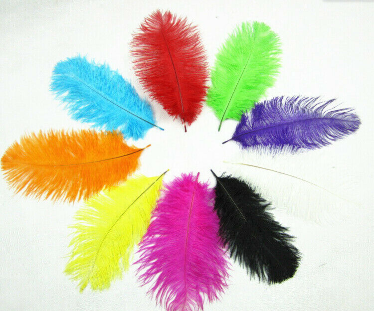 Rose 100pcs 8-10 inches/20-25cm ostrich Feathers wedding decoration Wholesale