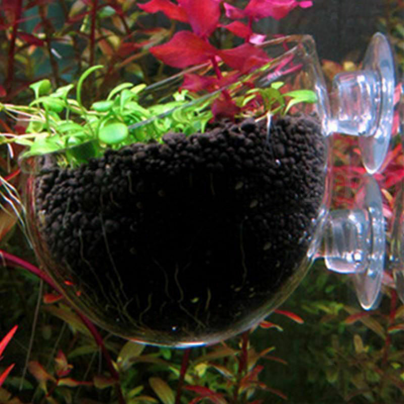Clear Plants Plants Holder Aquarium Aquascaping For Tank Planted Tanks