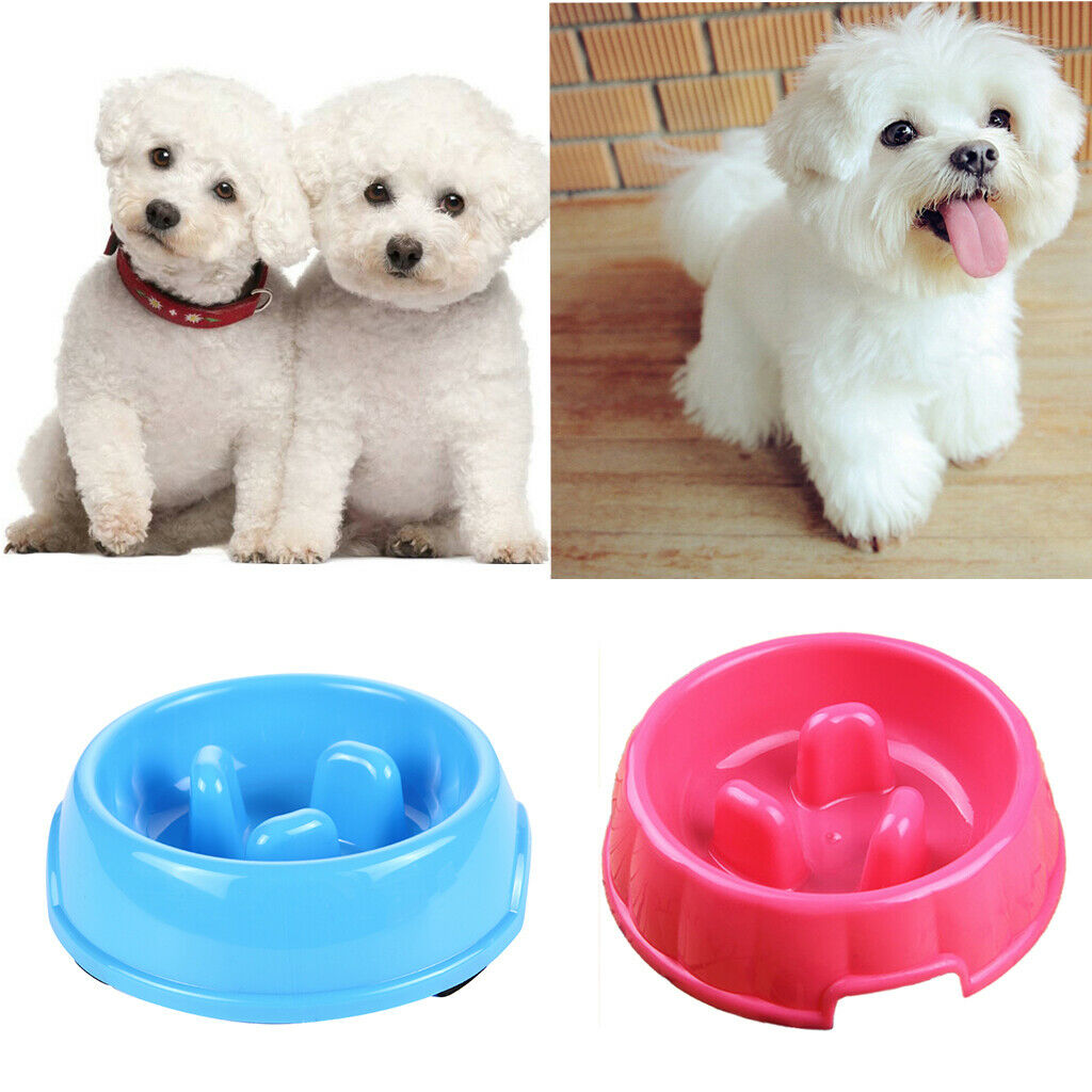 Set Of 2 Dog Bowl Anti Schling Bowl Bowl For Dogs And Cats