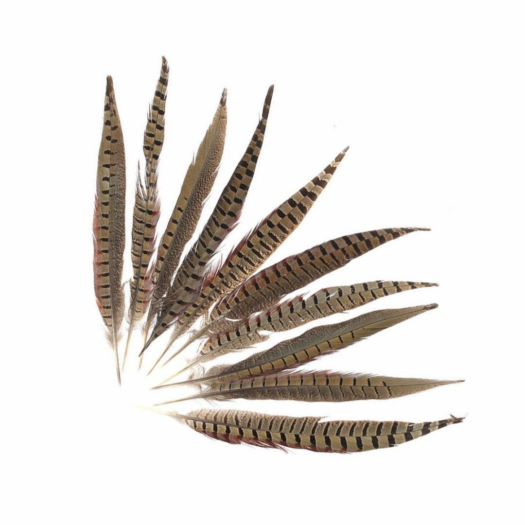 10PCS  Pheasant Natural Tail Feathers 30-35cm/12-14 inches  Carnival Diy costume