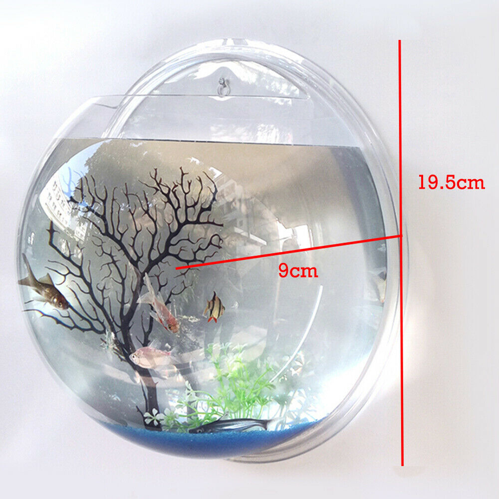 19.5cm Wall Mounted Hanging Fish Bowl Home Ornaments Tank Plant Flower Pot Vase