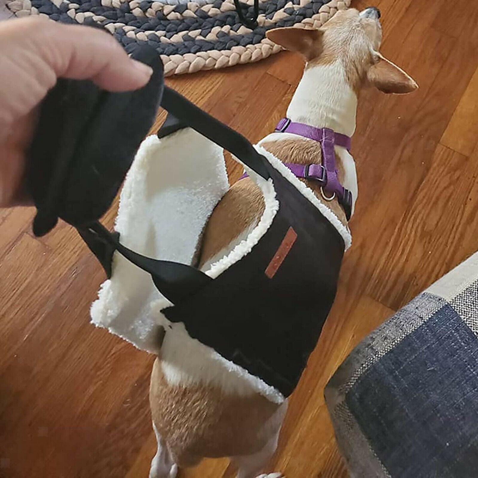 Soft Premium Dog Lift Sling Hip Support Harness Old K9 Lifting Canine Aid