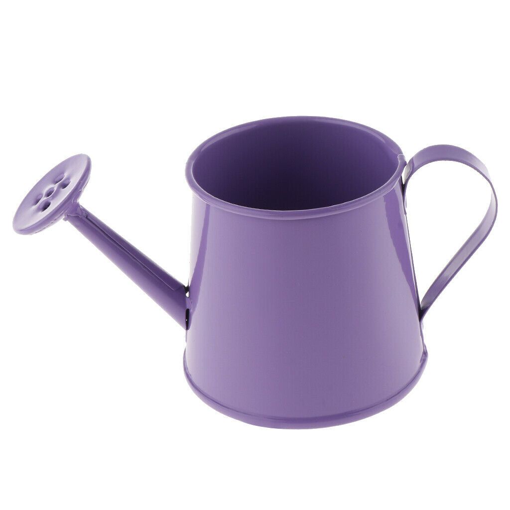 2x Garden Watering Can Watering Pot Rustproof Irrigation Tool Blue + Purple