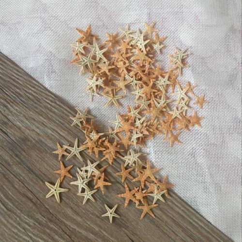 50 Tiny Mini Starfish Tan Flat (2-3cm) Beach Crafts Decor Nail Art