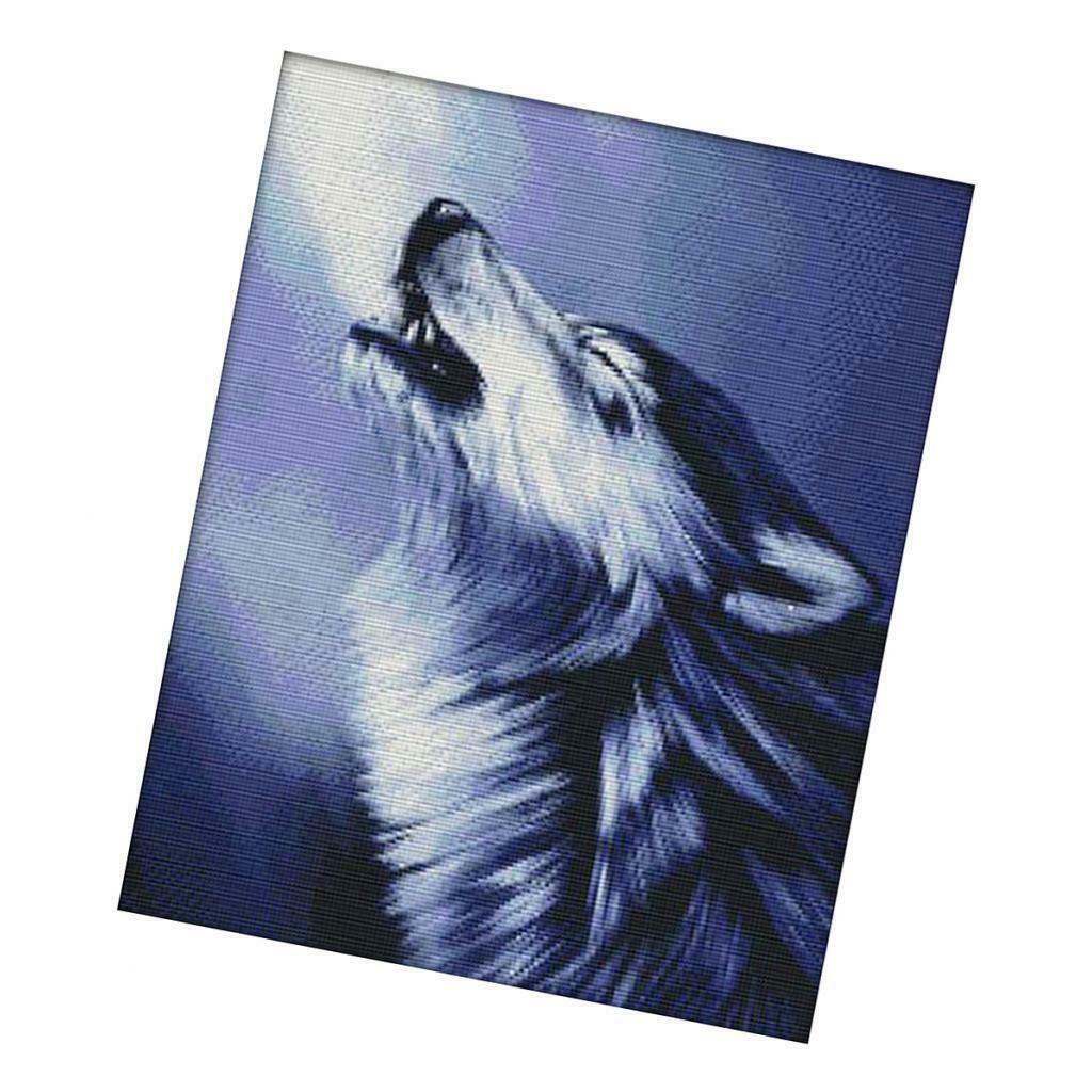 New Cross Stitch Kits Patterns Embroidery Kit, includes Embroidery Cloth,