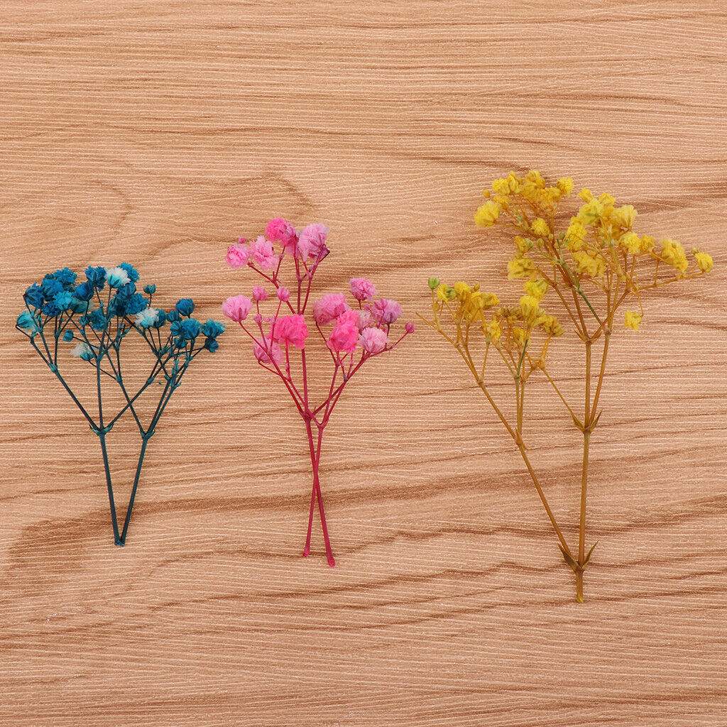Pressed Leaves Natural Dried Flowers Scrapbooking Cards making Multi