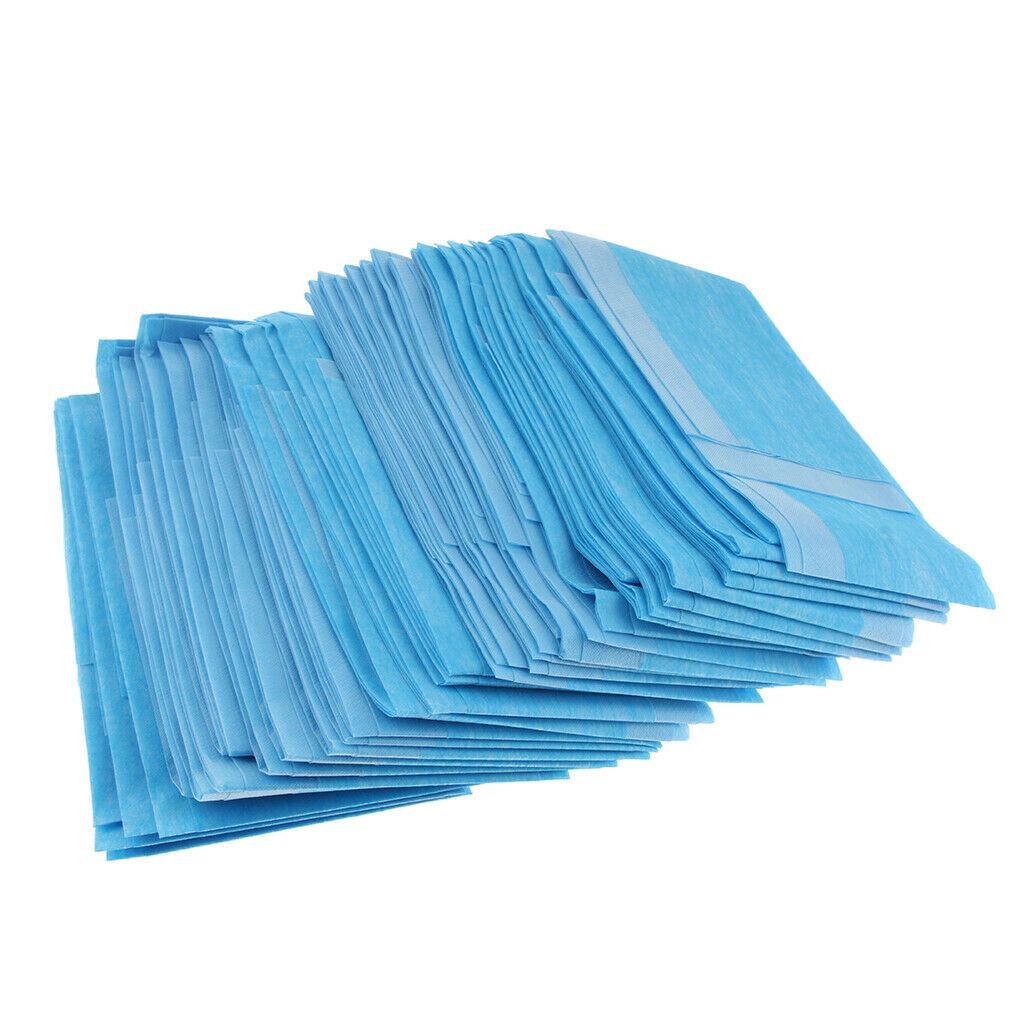 240pcs Disposable Underpads With Ultra Absorbent 40x40cm for Kids Children Pets