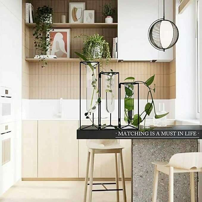 Glass Test Tubes Vase Flower Hydroponic Planter Stand Rack Decor with Iron Frame