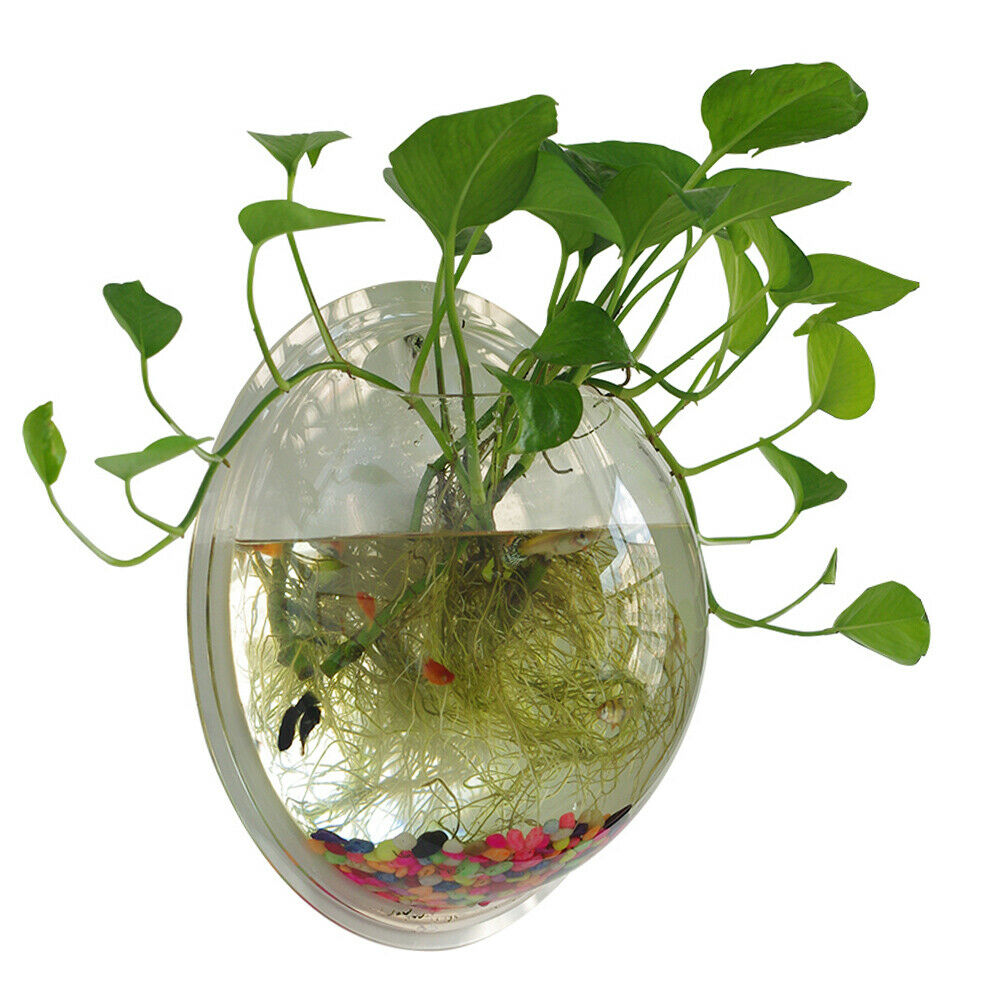 19.5cm Wall Mounted Hanging Fish Bowl Home Ornaments Tank Plant Flower Pot Vase