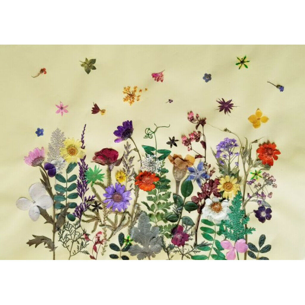 10x Dried Flowers Lace Flower For Scrapbooking Candle Facial Make Up Decors