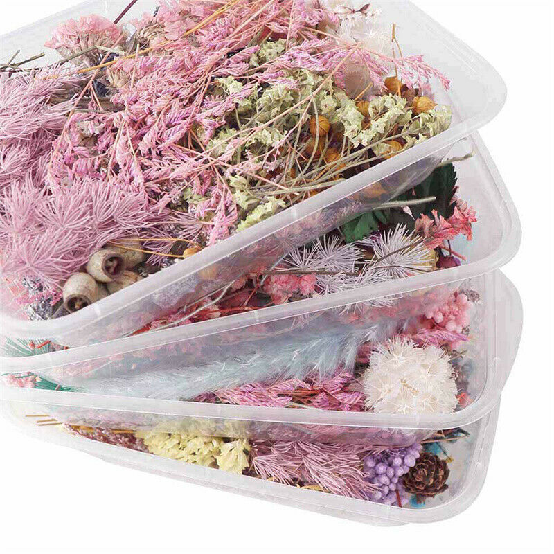 Dried Flower Aromatherapy Candle Making DIY Material For Candle Soap Mak CgR XC