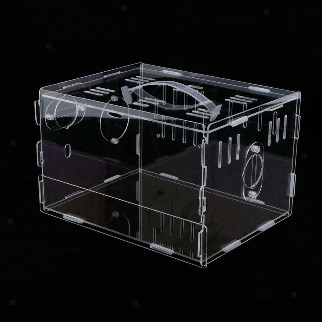 Acrylic Hamster House with Lid - single layer