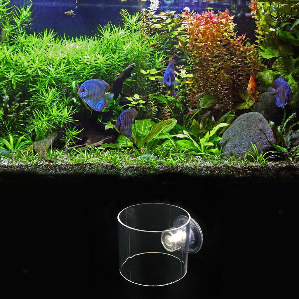 Round Shape  Feeding Ring Aquarium  Tank Food Feeder with Suction L