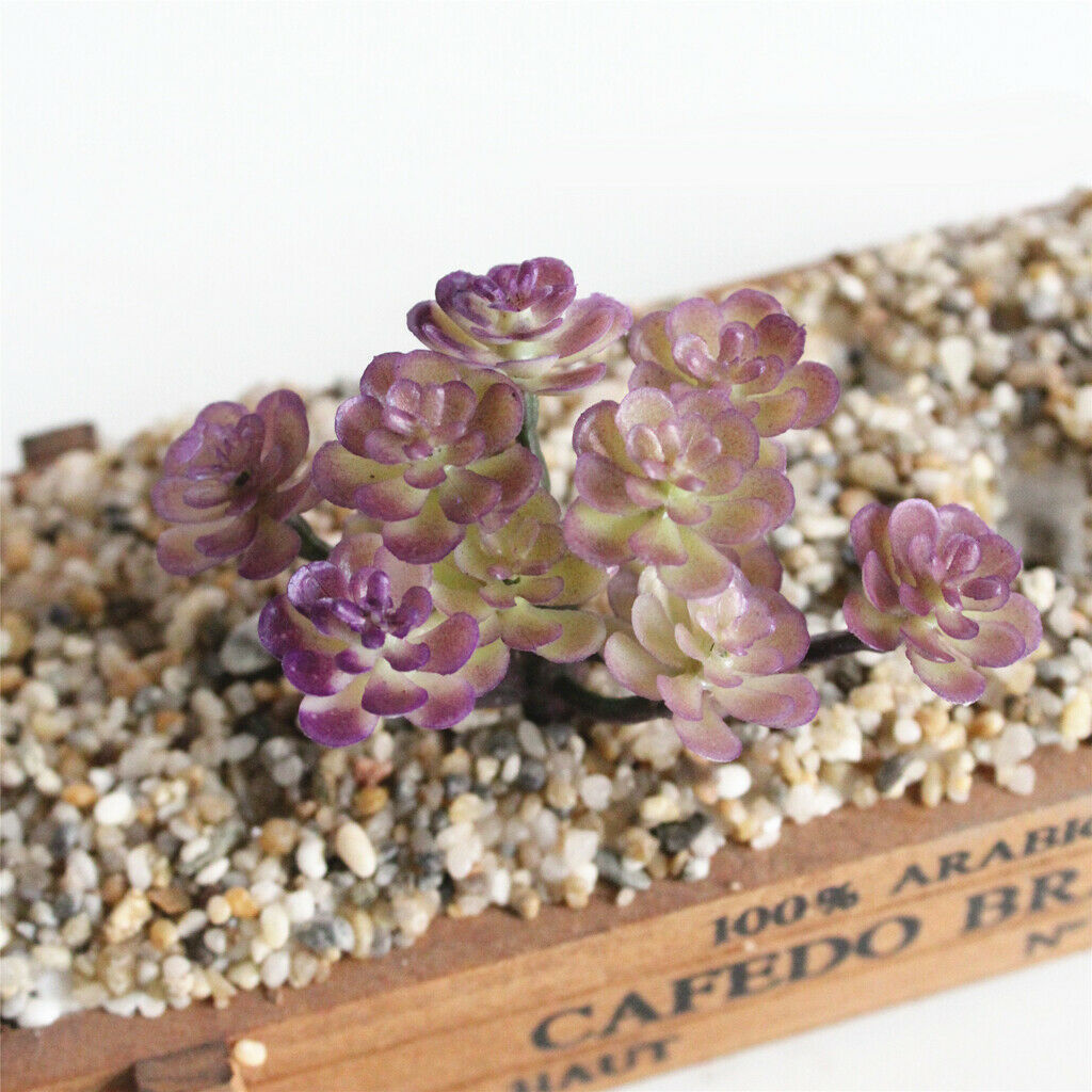 2 Pieces.  Cactus Succulent Plant Artificial Plant Decor