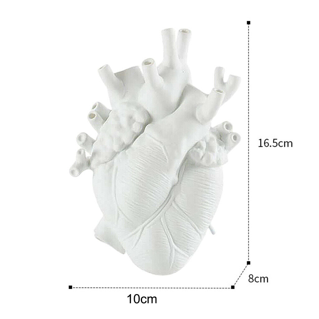 Anatomical Heart Vase Nordic Palnt Pot Planter Desktop Home Art Home Decor