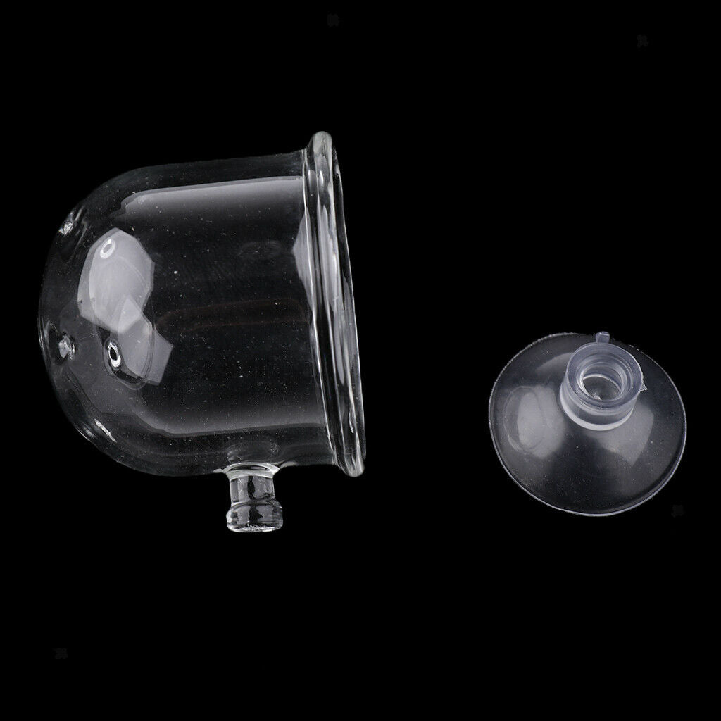 5x Aquarium Tank Glass Fish Feeder Snail Trap Planarian Leech Catch Pinhole