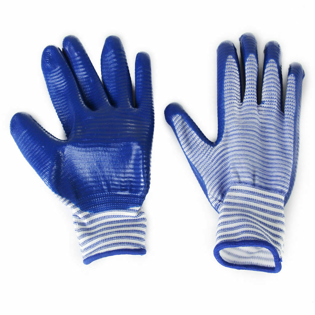 Bite-proof Protective Gloves for Hamsters Work Blue Zebra Crossing