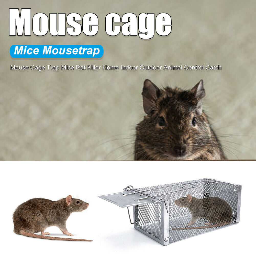 Mouse Mice Rat Killer Indoor Outdoor Animal Control Cage Live Trap Catch Cage