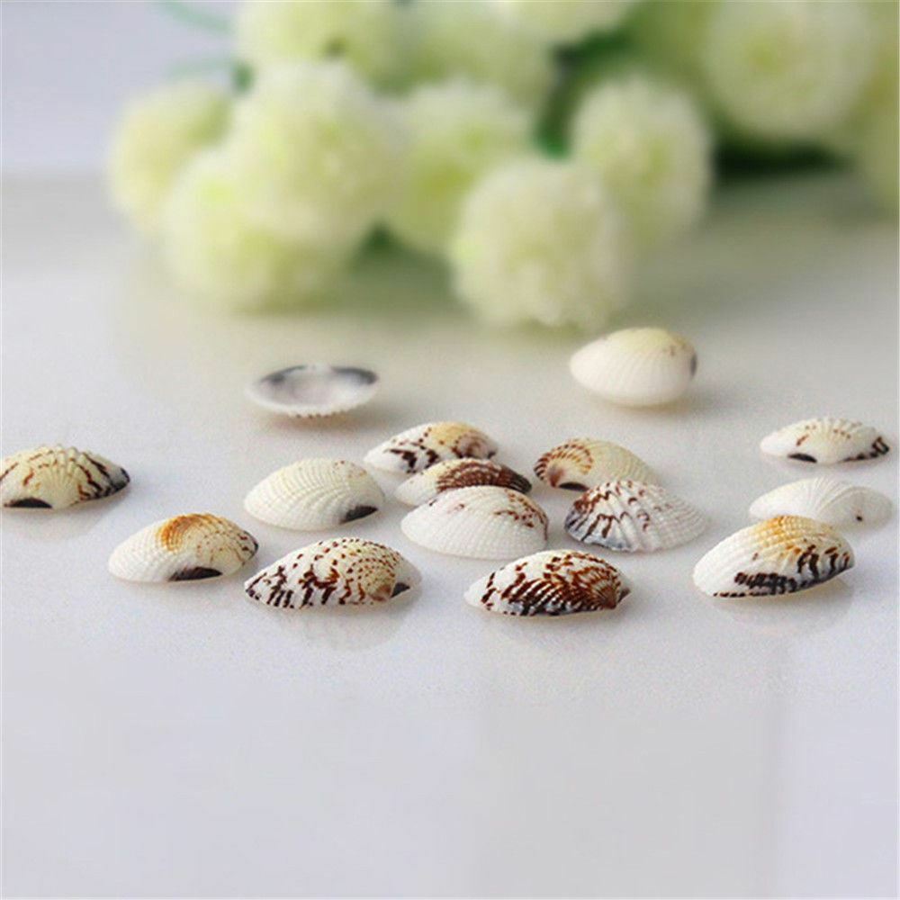 20 pcs Assorted Clams Shells Seashells Crafts Aquarium Fish Tank Nautical Decor