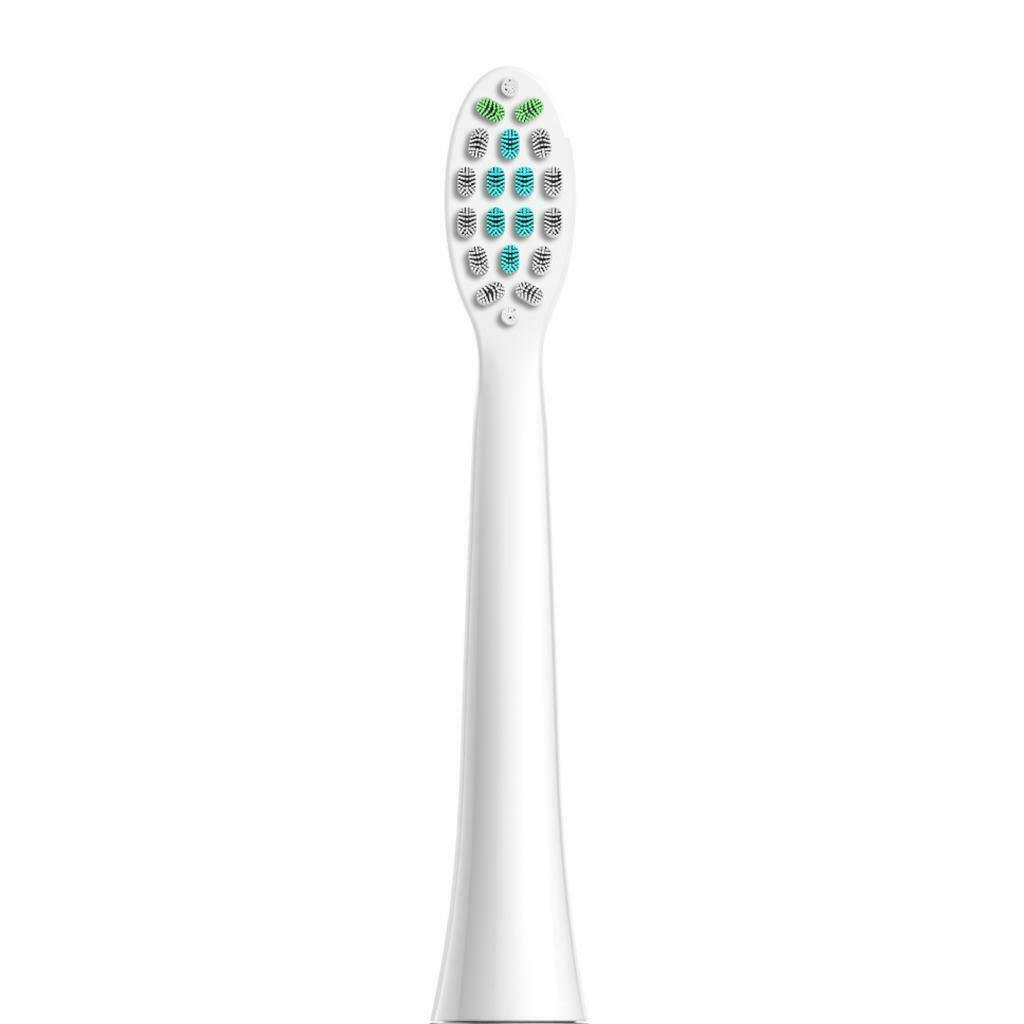 H2 Sonic Whitening Electric Cleaning Toothbrush 2 Dupont Heads Waterproof