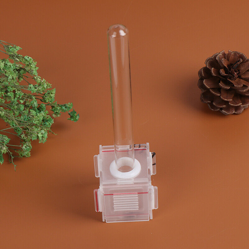 New Clear Mini Ant Nest Farm with Glass Nest Tubes Ant Feeding Area .l8
