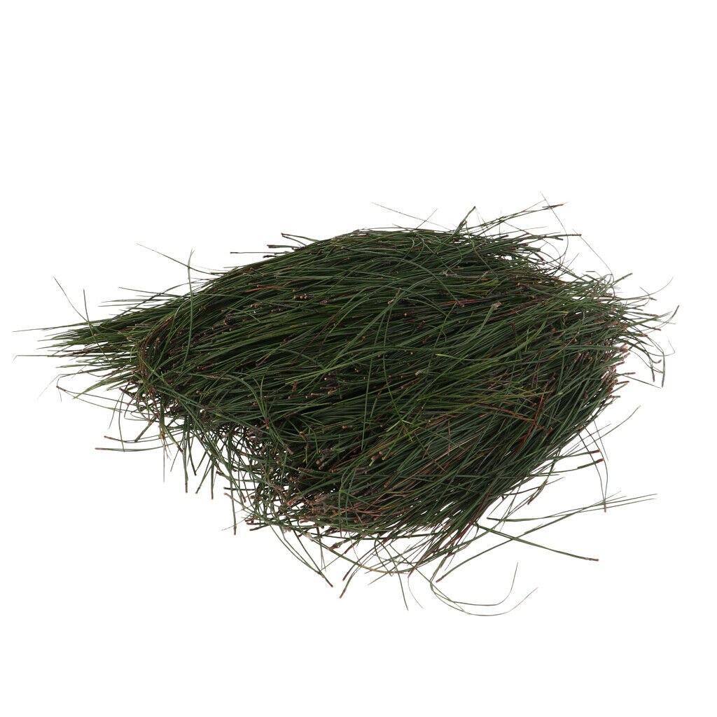 Pet Nest Supplies Natural Pine Leaf Mat for Cat Dog Bird Parrot Rabbit 2