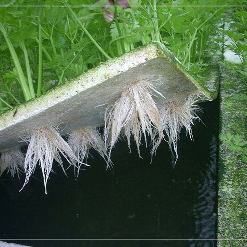 Hydroponic Vegetable Floating Board Soilless Cultivation Equipment Foam B.l8