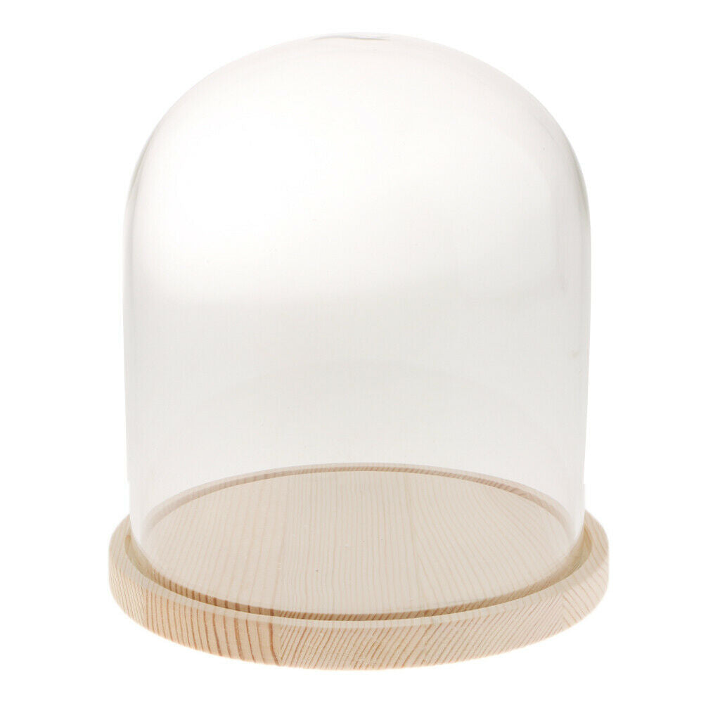 2-pack Clear Festival Glass Dome with Wooden Base Display Bell Jar Case