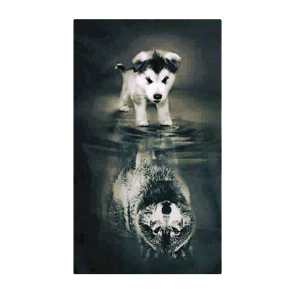 Prettyia Wolf Reflection 5D Diamond Painting Paint By Number Kits for Adults