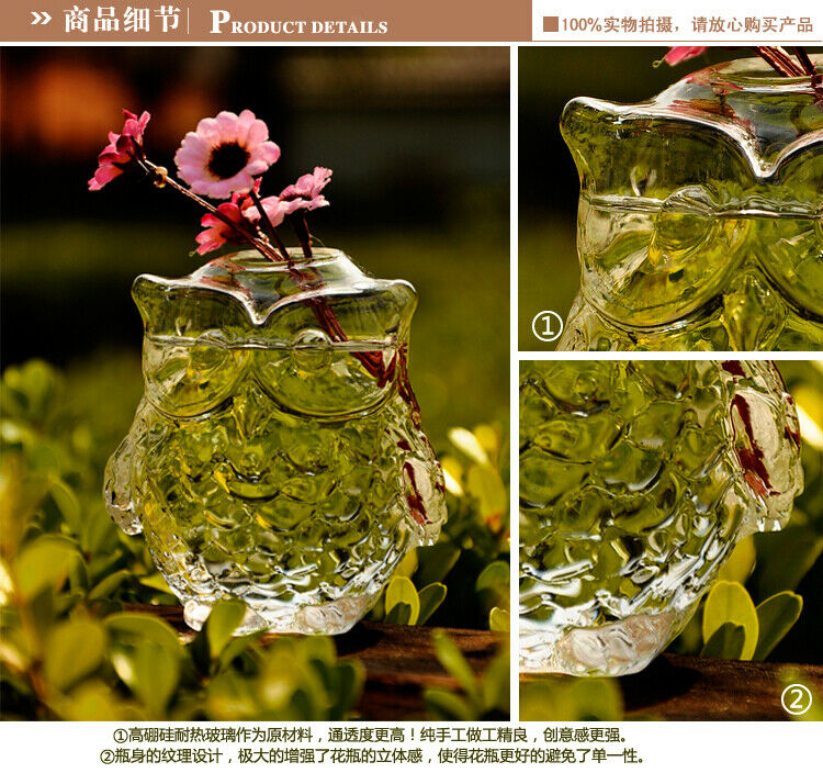 Glass Flower Planter Hydroponic Vase Terrarium Container
