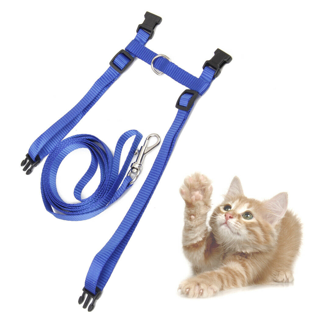 Blue Adjustable Pet Cat Kitten Belt Nylon Collar Leash Harness Safety Strap