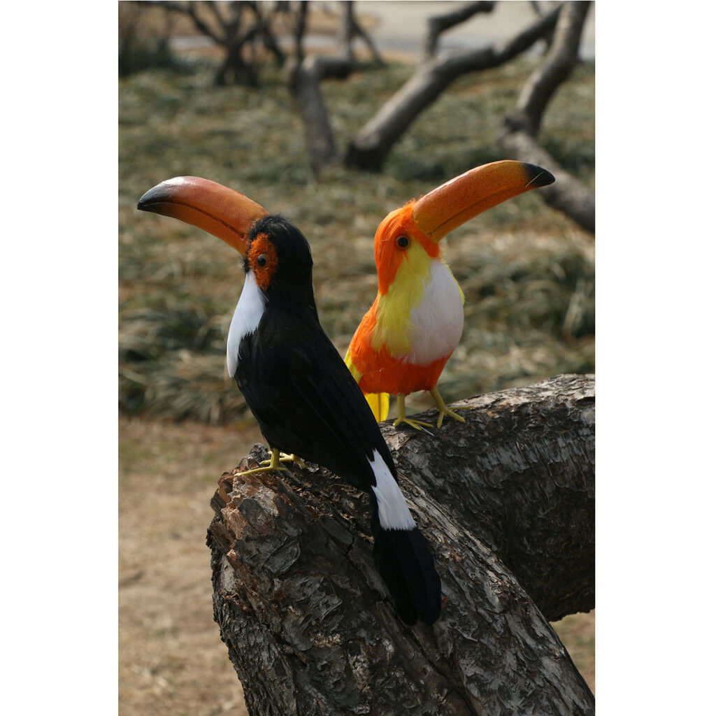 Artificial Black Toucan Bird Realistic Taxidermy Home Garden Decor 35cm #9