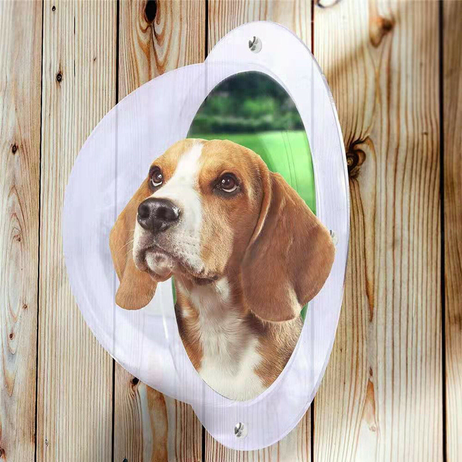 Yard Pet Dog Fence Window Cat Peek Bubble Acrylic Clear Dome Window House