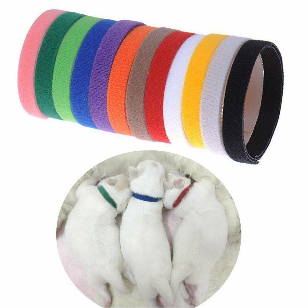 12Pcs/Set Adjustable Newborn Puppy ID Collar Pet Kitten Colors Cat Whelping Band