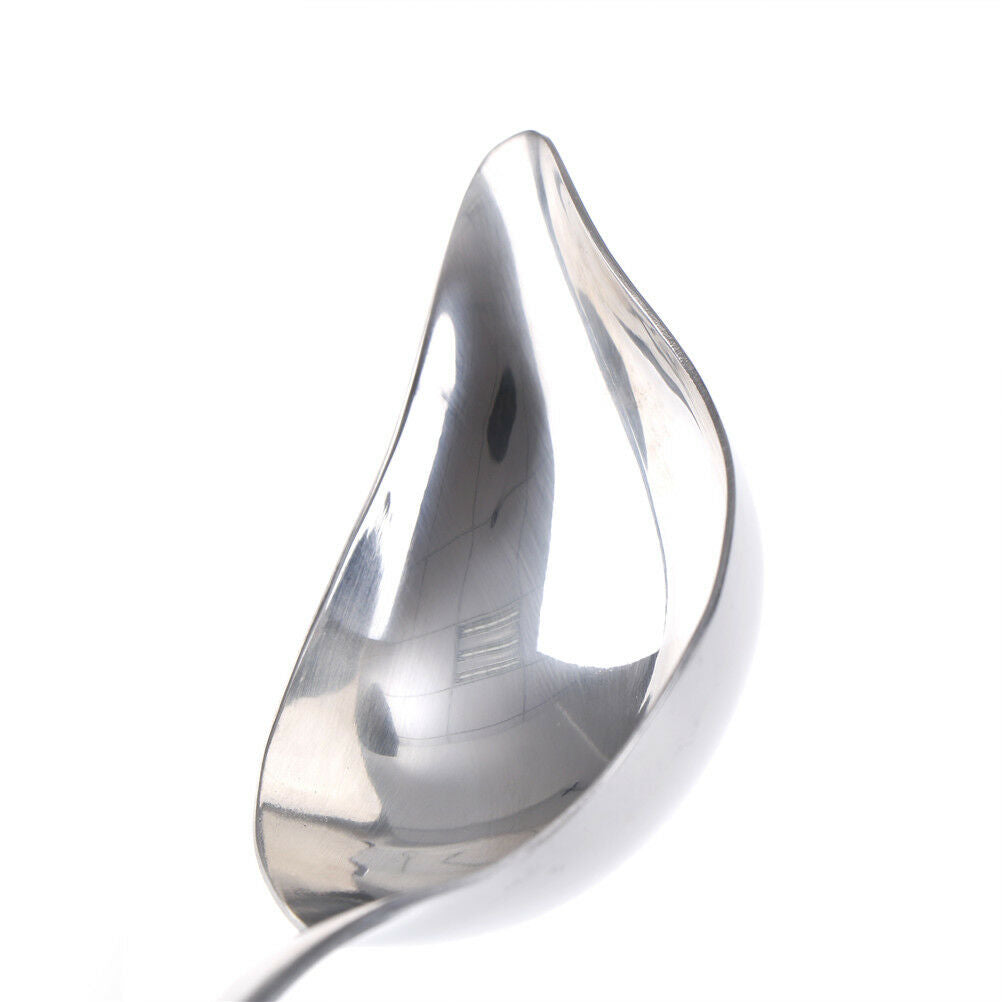Stainless Steel Saucier Drizzle Spoons with Tapered Spout Saucier Decor Spoo SJ