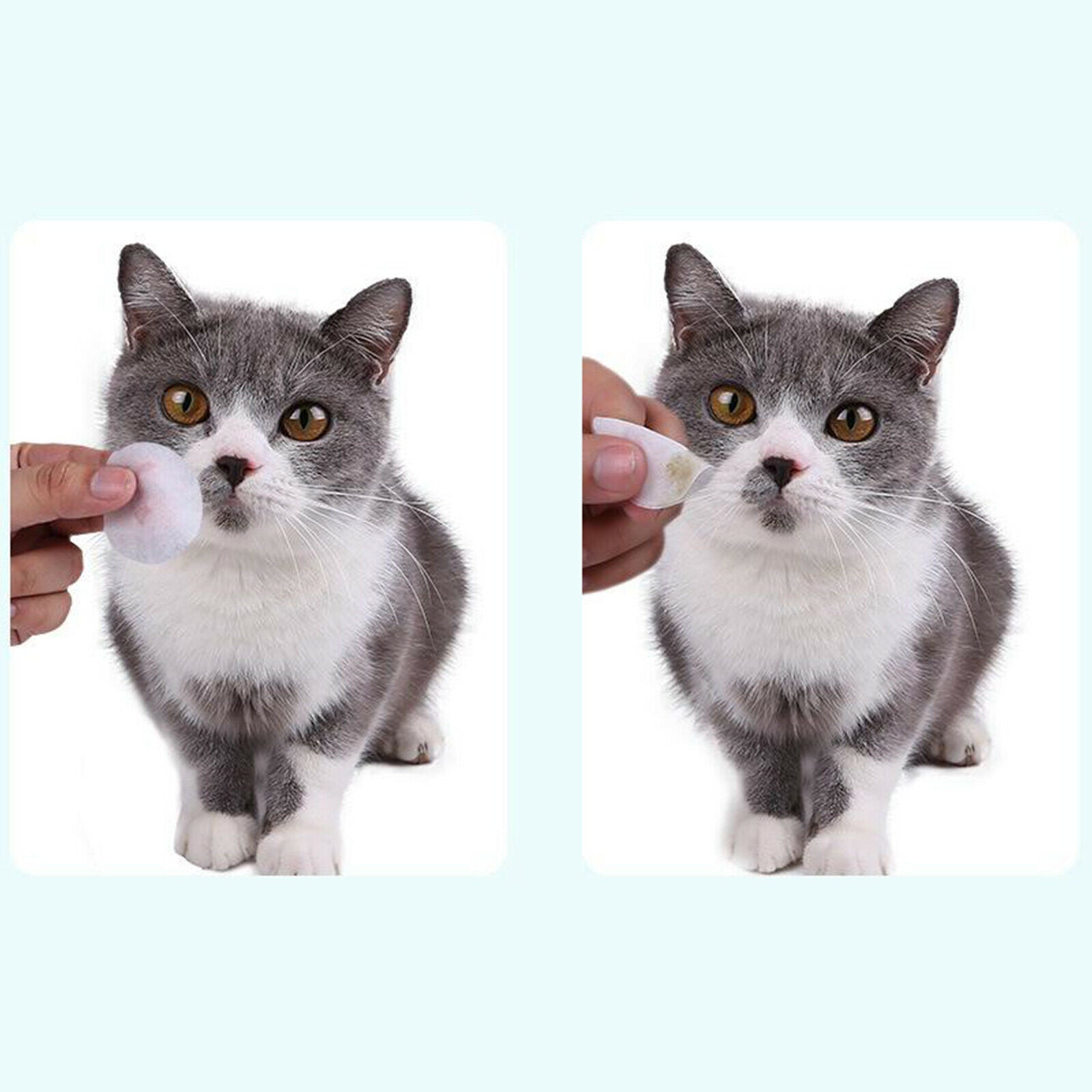 100 pcs Pet Eye Wipes, Dog ï¼†Cat Tear Stain Crust Remover, Natural Tear Eye