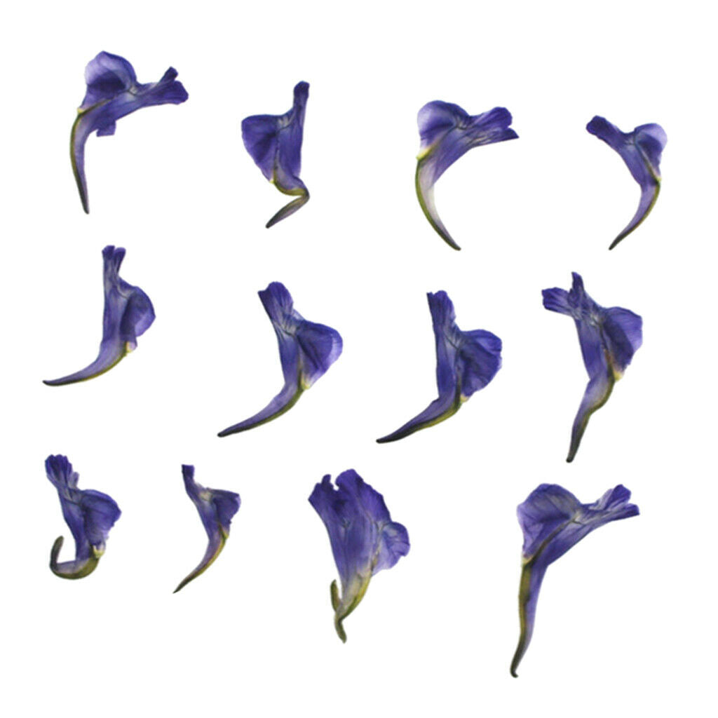 12 Pieces Of Real Dried Leaves Handmade Pressed Flower Dried Flowers For