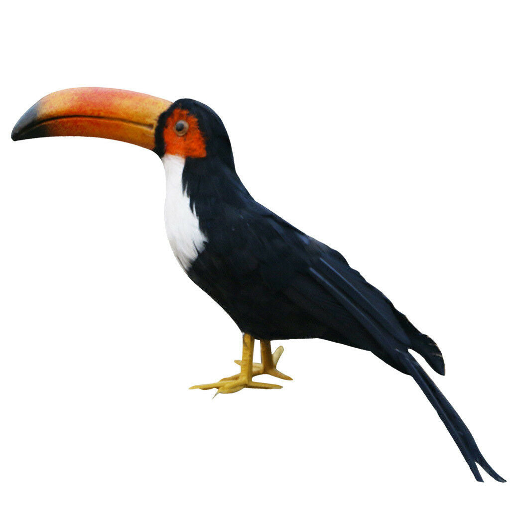 Artificial Black Toucan Bird Realistic Taxidermy Home Garden Decor 35cm #9