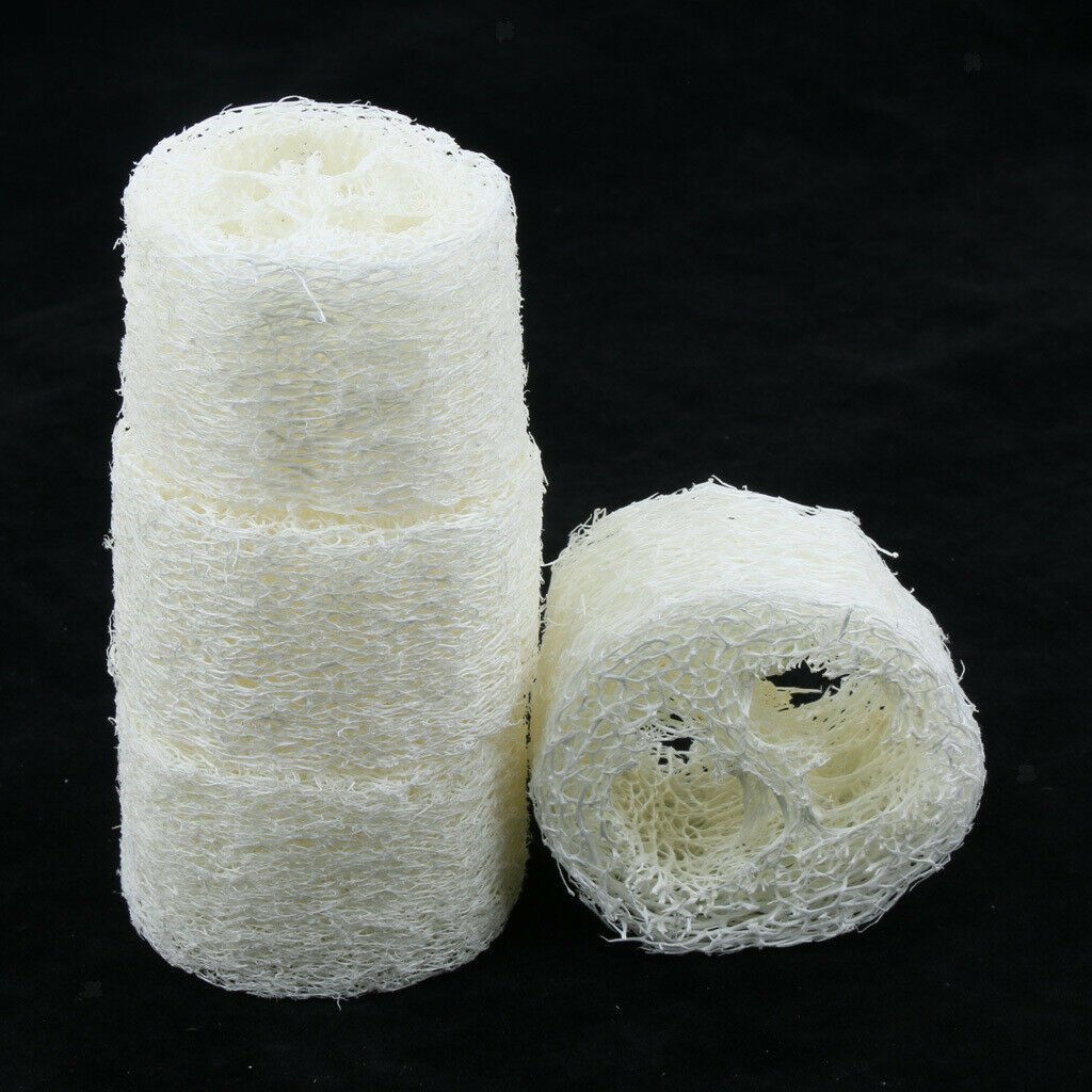 4 Pieces Bathroom Kitchen Loofah Soap Dishes Boxes Holders Sponge Containers