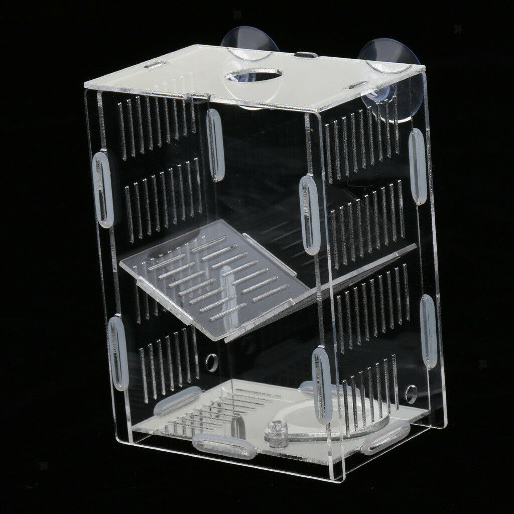 Clear Fish Breeding Box Acrylic Aquarium Breeder Box Double Guppies Hatching